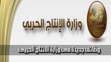 وزارة الانتاج الحربى