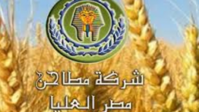 شركة مطاحن مصر العليا