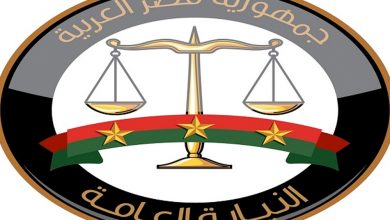 النيابة الادارية