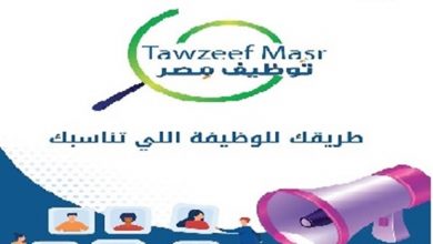 مبادرة توظيف مصر