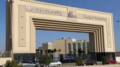 جامعة ميريت